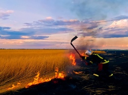 В Днепропетровской области на открытых территориях произошли более 30 пожаров
