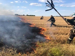 На Днепропетровщине снова горят поля и сухостой
