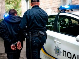 В Кирилловке парень из Днепра избил полицейского