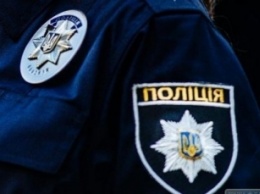 Житель Запорожской области «отбил» полицейского у хулиганов