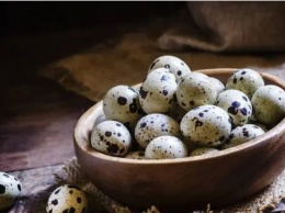 Пять причин, почему нужно включить в рацион перепелиные яйца