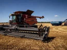 Днепропетровщина - в национальных лидерах по урожаю ранних зерновых