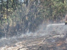За прошедшие сутки на Николаевщине потушили 5 пожаров сухостоя и пожнивных остатков (ФОТО)