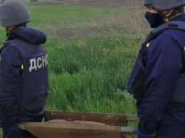 В питомнике на Тернопольщине нашли 40 авиабомб