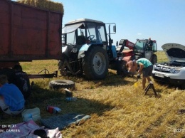 В Запорожской области неизвестные разбросали в поле сваренные из гвоздей "ежи" - пострадала сельхозтехника