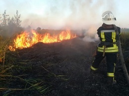 Днепропетровщина ставить рекорды: 57 пожаров за сутки