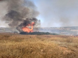 В Межевском районе выгорело 6 гектаров сухостоя