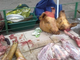 Трупы очумелых свиней кто-то выбросил в поле, - на рынках чумы, пока, не замечено
