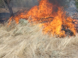 В Запорожской области пожары на полях бушуют во всех районах
