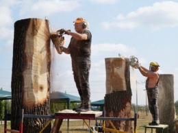 На Виннитчине устроят фестиваль деревянной скульптуры