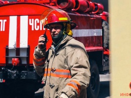 Пожары в экосистемах и ЧП на воде: спасатели подвели итоги недели в Днепре