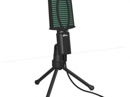 RDM-126 - новая модель в линейке микрофонов Ritmix