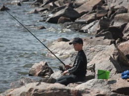 В Никополе состоится VI детский рыболовный фестиваль «Золотая рыбка»