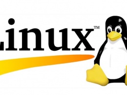 ОС Linux отметила свой 29-й день рождения