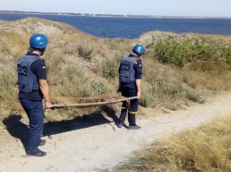 Спасатели Николаевщины за сутки потушили 8 пожаров на открытой территории и обезвредили 4 снаряда, которые нашел директор заповедника (ФОТО)