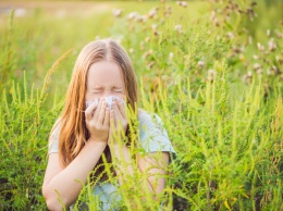 Насморк и кашель: у запорожских аллергиков начался тяжелый период