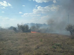 Пожарные потушили хвойную подстилку в урочище на Николаевщине