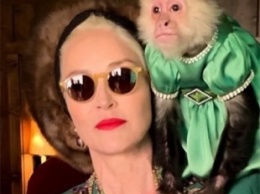 62-летняя Шэрон Стоун вызвала восторг поклонников фото с ряженной обезьянкой