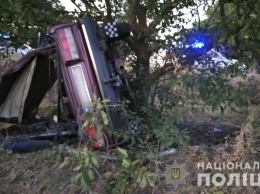 Под Коблево произошла авария, в которой травмировались 18-летний водитель и трое юных пассажиров (ФОТО)