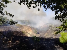 В Харьковской области за сутки выгорело 40 гектар сухостоя, - ФОТО