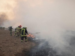 Рада поддержала в первом чтении проект закона о повышении штрафов для поджигателей травы и лесов