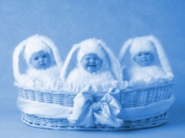 В Мелитопольском районе родились тройняшки (фото)