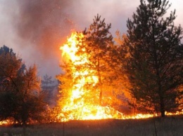 Минреинтеграции: Найиболее масштабный пожар на Луганщине распространился из территории РФ