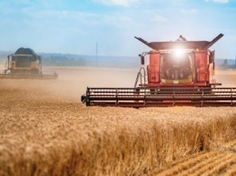 Большая уборка: какой урожай соберет Украина в 2020 и сможет ли на этом заработать