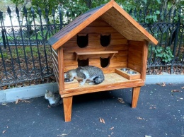 Одесские общественники установили домик для кошек возле Тещиного моста: он обошелся дешевле, чем муниципальные