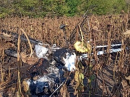 Самолет упал на поле с подсолнухами в Сумской области, пилот погиб (ФОТО)
