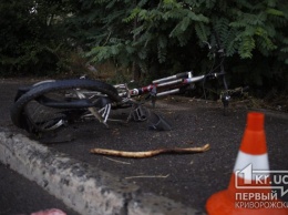 В Кривом Роге легковушка насмерть сбила велосипедиста