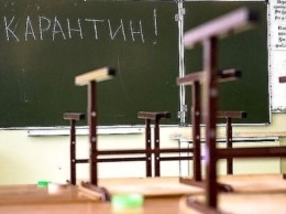 В Мелитополе школьники классов, которые отправили на самоизоляцию, сдадут тест ПЦР