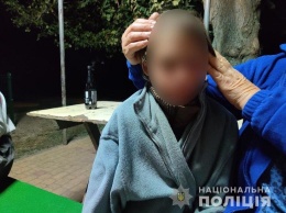 В Харьковской области на детской площадке нашли потерявшуюся 12-летнюю девочку, - ФОТО