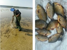 Под Харьковом поймали краснокнижную рыбу (фото)