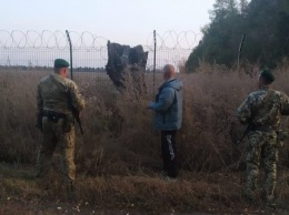 В Харьковской области силовики задержали двух нарушителей границы с Россией, - ВИДЕО