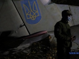 Геращенко - об авиакрушении: Пилот был спокоен и готовился сажать самолет на одном двигателе