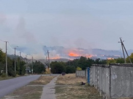 Мэр Краматорска сообщил о масштабном лесном пожаре