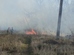 В Краматорске сгорели 8 гектаров ландшафтного парка