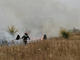 В Харьковской области за сутки выгорело 18 гектар природных экосистем, - ФОТО