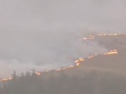 «ЛНР» насчитала около 200 пожаров за последние дни: есть погибшие и пострадавшие, разрушены дома