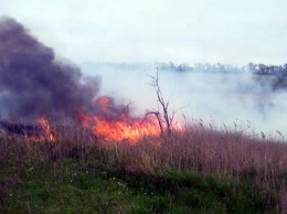 На Днепропетровщине за сутки ликвидировали 12 пожаров в экосистемах