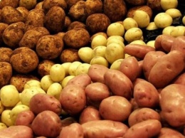 На Херсонщине торгуют больным картофелем
