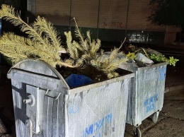Созрели: в Никополе выбросили новогоднюю елку в октябре