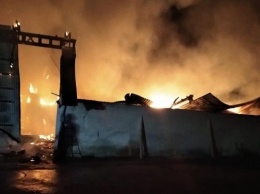В Ивано-Франковской области на складе сгорели сотни тонн зерна