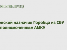 Зеленский назначил Горобца из СБУ госуполномоченным АМКУ