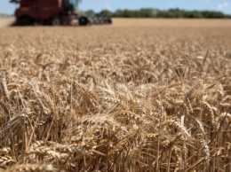 Решение МКМТ не ограничивать импорт удобрений в Украину принято без выводов МЭРТ- ZN.ua