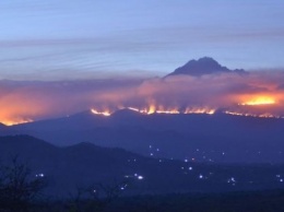 На Килиманджаро уже пятые сутки горит лес