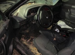 Нападение на авто правозащитницы в Лисичанске: появились новые подробности