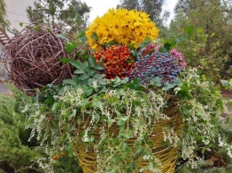 Мелитопольские флористы создали "Цветочный мармелад"