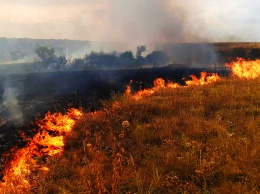 Под Никополем ликвидировали два пожара в экосистемах